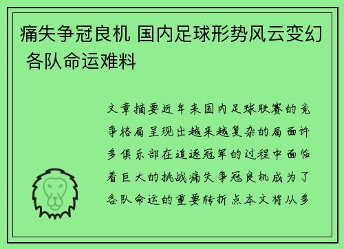 痛失争冠良机 国内足球形势风云变幻 各队命运难料
