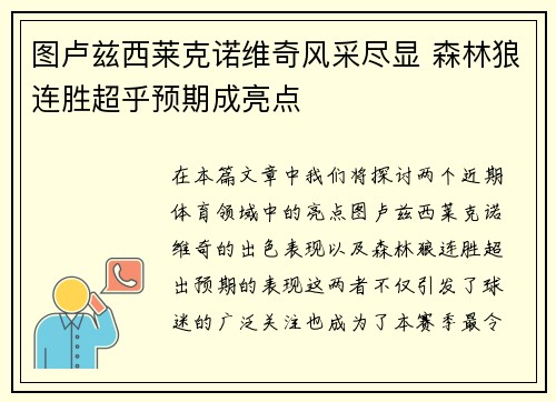 图卢兹西莱克诺维奇风采尽显 森林狼连胜超乎预期成亮点